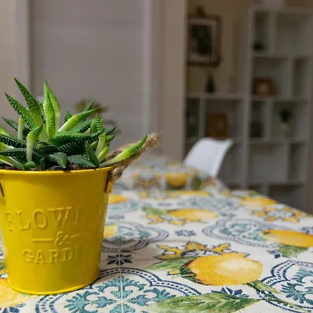 ベッド・アンド・ブレックファスト Apollo