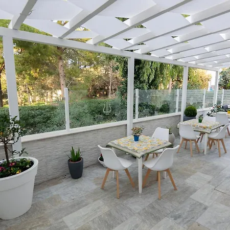 Bed & Breakfast Apollo