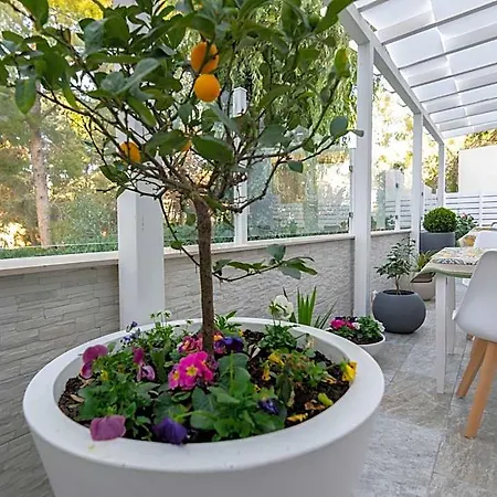 Bed and Breakfast Apollo 3*