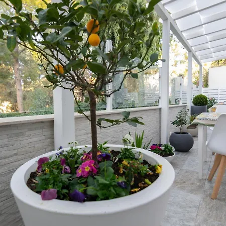 Apollo 住宿加早餐酒店 阿格里真托